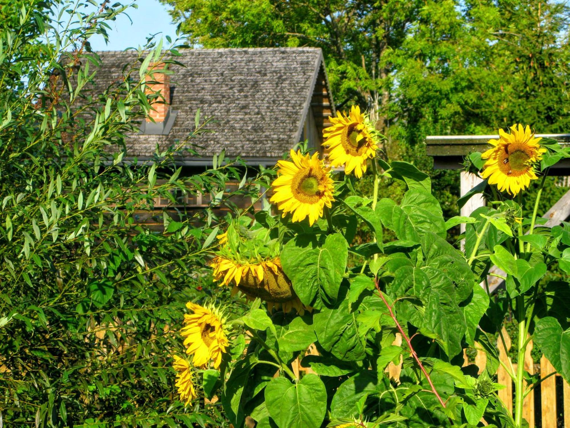 Siedlisko Sobibor Villa Exterior photo